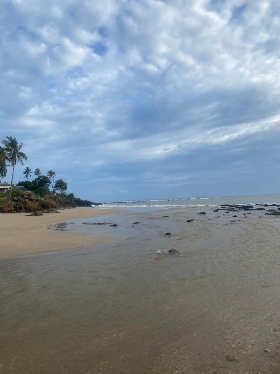 Arya Bungalow Ko Lanta Buitenkant foto